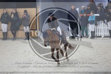 ref. photo 3519401