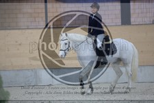 ref. photo 3519414