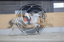 ref. photo 3519483