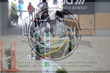 ref. photo 3519529