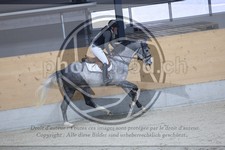ref. photo 3519610