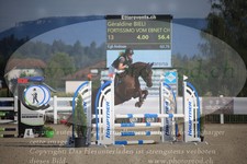 ref. photo 3270691