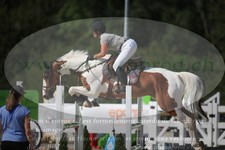ref. photo 3270821