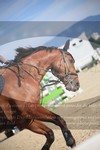 ref. photo 3271071