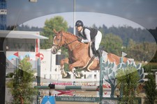 ref. photo 3271116