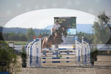 ref. photo 3271159