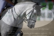ref. photo 3271320