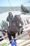 ref. photo 3271460