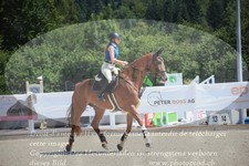 ref. photo 3271601