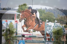 ref. photo 3271685