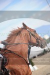 ref. photo 3271686