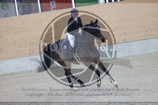 ref. photo 3410217