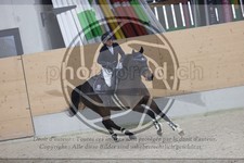 ref. photo 3410222