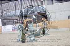 ref. photo 3410225