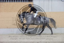 ref. photo 3410278