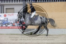 ref. photo 3410279