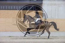 ref. photo 3410288