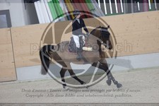ref. photo 3410292