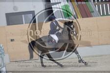 ref. photo 3410302