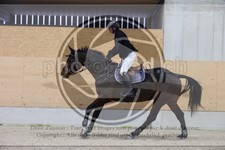 ref. photo 3410308