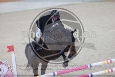 ref. photo 3410312