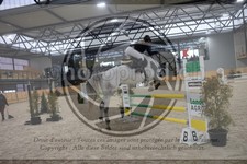 ref. photo 3410348