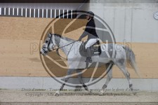ref. photo 3410352
