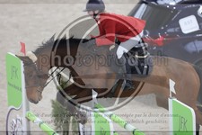 ref. photo 3410373