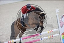 ref. photo 3410378