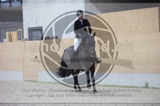 ref. photo 3410384