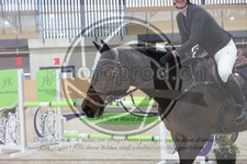 ref. photo 3410387