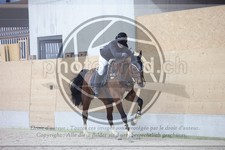 ref. photo 3410410