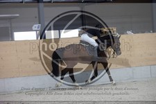 ref. photo 3410413