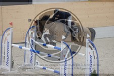 ref. photo 3410427