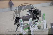 ref. photo 3410470