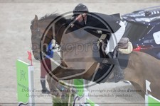 ref. photo 3410511