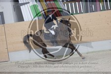 ref. photo 3410514