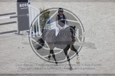 ref. photo 3410524