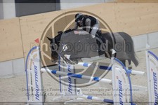 ref. photo 3410526