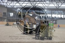 ref. photo 3410543