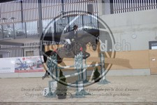 ref. photo 3410552