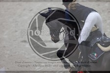 ref. photo 3410607
