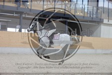 ref. photo 3410638
