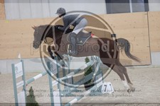 ref. photo 3410710