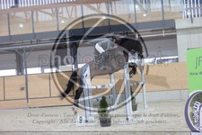 ref. photo 3410716