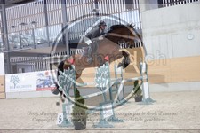 ref. photo 3410717