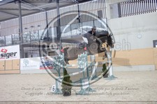 ref. photo 3410739