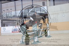 ref. photo 3410781