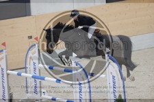ref. photo 3410793