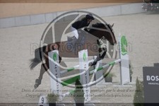 ref. photo 3410799